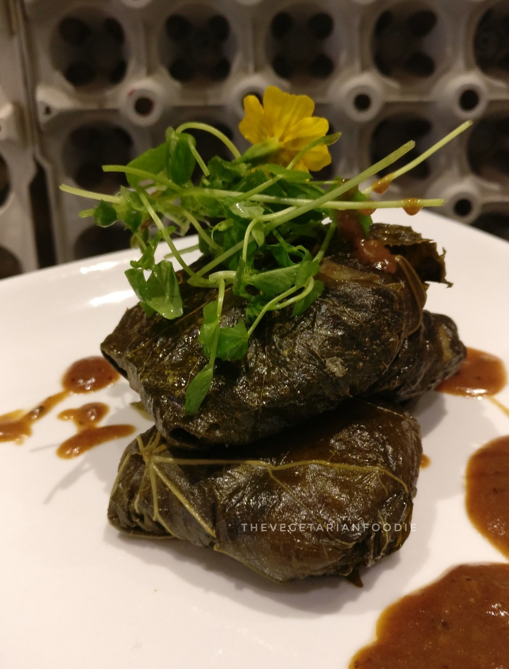 IMG_20170824_150500-01